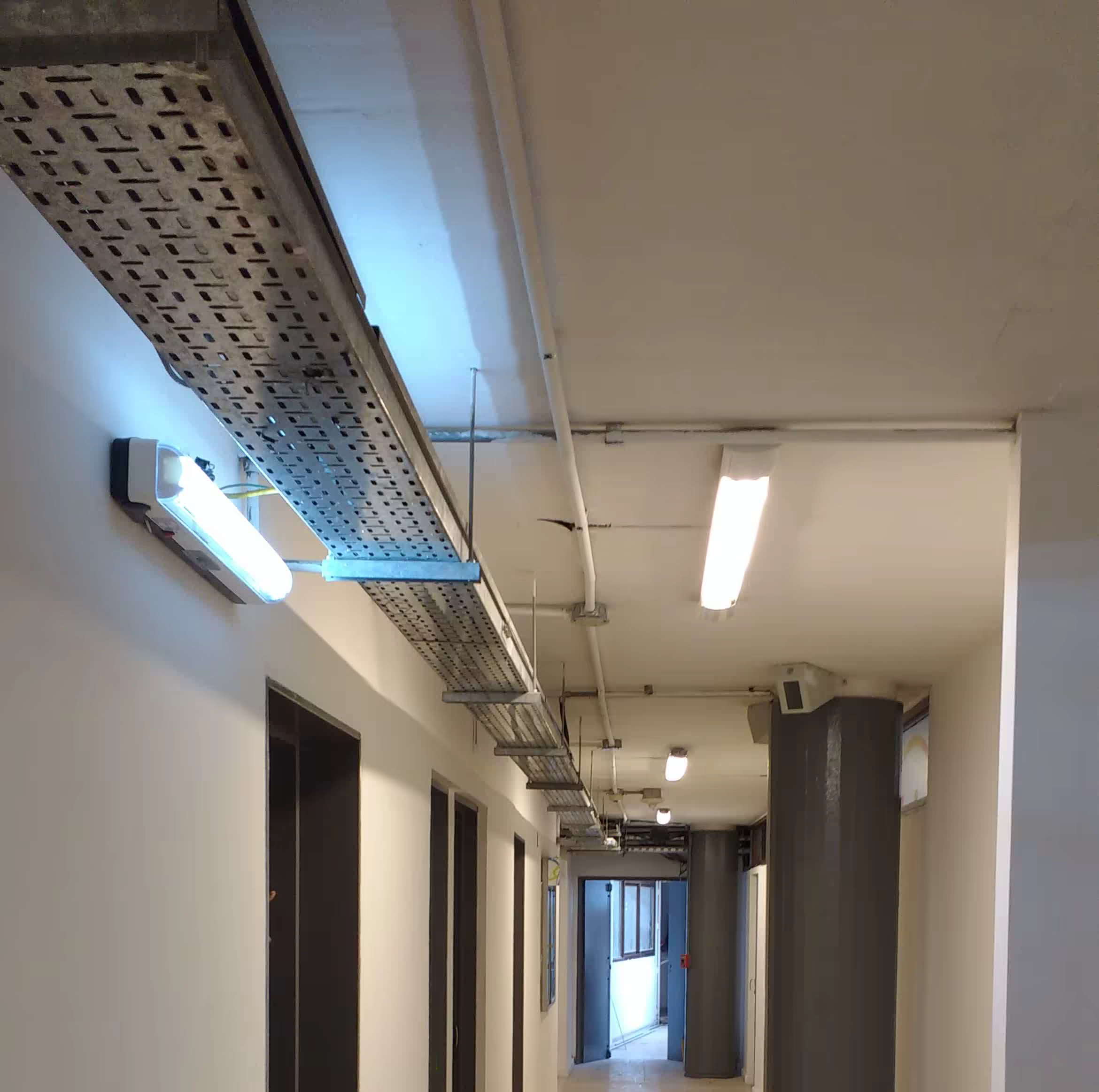 Apex America – Reforma Edificio Corporativo - Imagen 4 del proyecto